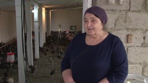 Вай боахам 15,05,24 автор Холохоева Пятимат