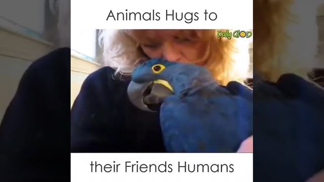 Такие человечные животные! Человечнее людей! смотреть онлайн