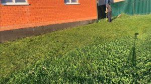 Триммер Ryobi. На сколько соток хватит 5 Ач аккумулятора