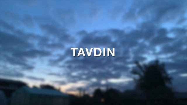 TAVDIN