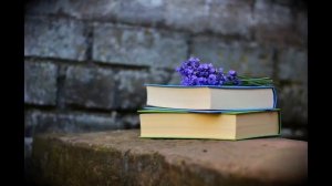 Советы куда отдавать ненужные книги.