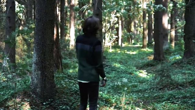 Лисичкин Кл[е]ш - TD смотреть онлайн