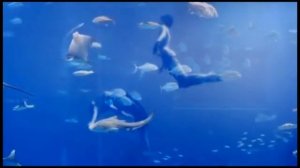 Наутилус Помпилиус (Nautilus Pompilius) - Дыхание( Breath)