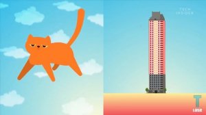 Как кошки выживают при падении с больших высот || science insider на русском