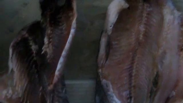 Правильная сушка рыбы