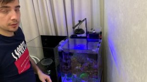 Замена пресного аквариума на больший объем. Dennerle 30\60. Переезд креветок кристаллов.