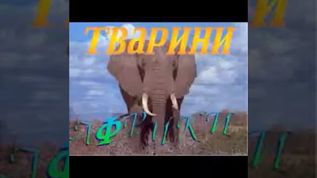 Африка
