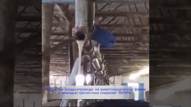 Прочистка воздухопровода на животноводческой ферме с помощью прочистных спиралей "ВИХРЬ" смотреть онлайн