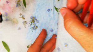 Как высушить цветы. Плоская сушка соцветий. Хранение сухоцветов