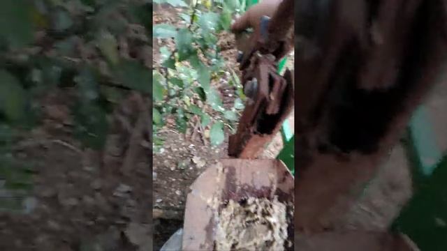 Делаем брикеты для растопки своими руками смотреть онлайн