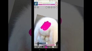 как покрасить волосы в ибис паинт?