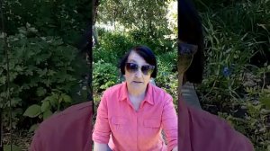 Как пенсионеру получить компенсацию за один участок земли от государства.