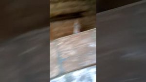 Ремонт и тюнинг лодки "Воронеж" Изготовление форштевня