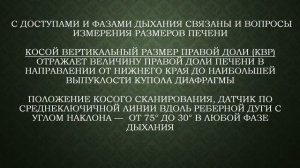 Ультразвуковое исследование печени. Кузьминова С.П.