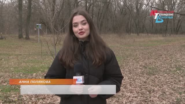 «Обитель птиц»: каких редких пернатых можно встретить на территории Волгоградской области