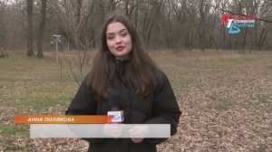 «Обитель птиц»: каких редких пернатых можно встретить на территории Волгоградской области