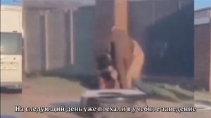 ТЦК украины.