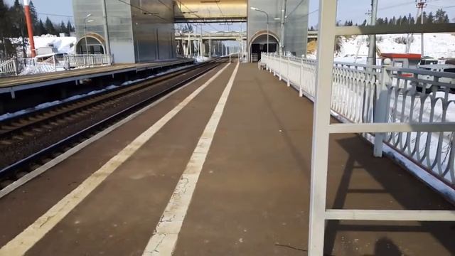 Супер скоростной поезд #сапсан - самый быстрый поезд в России