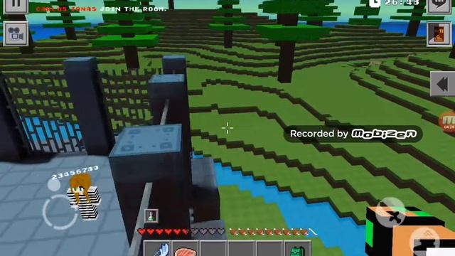 Как играть в COPS N ROBBERS