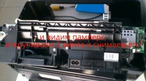 как почистить памперс на принтере Epson