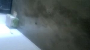 Соседи сверху затопили