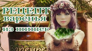 Варенье из сосновых шишек, рецепт варенья