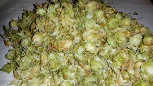 Хмель, шишки хмеля купить.