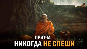 Мудрая притча о спешке #совет