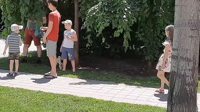 Мастер класс как уговорить родителей купить щенка смотреть онлайн