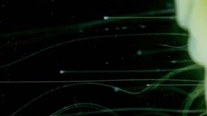 Практика на восстановление самооценки и повышения уверенности в себе