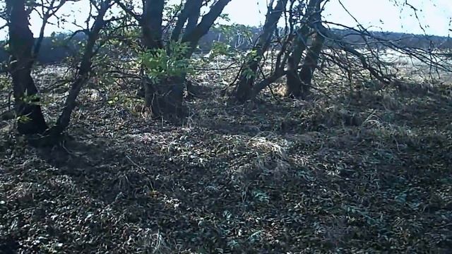 Охотничьи истории. Охота на лису и шакала c ATA NEO. Сезон открыли! смотреть онлайн