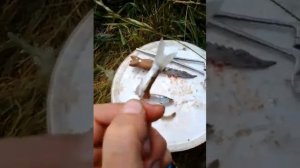 Ловля судака на фидер на нарезку Омск река Иртыш