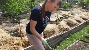 КАК ВОССТАНОВИТЬ ПЛОДОРОДИЕ ПОЧВЫ ЗА 2 СЕЗОНА