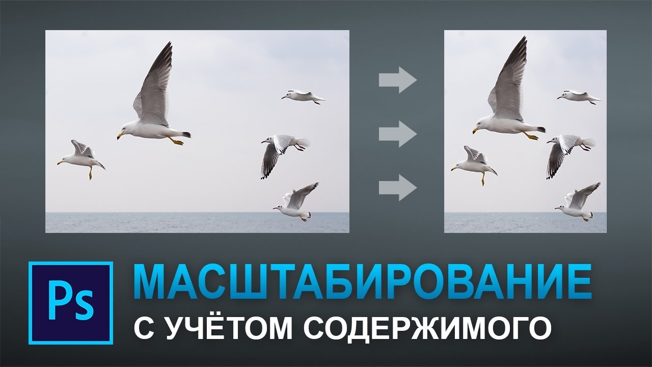 Фотошоп как масштабировать изображение сохраняя пропорции