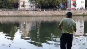 поймал сома в центре города