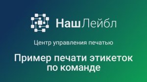 Программный комплекс НашЛейбл. Центр управления печатью - печать этикеток по команде