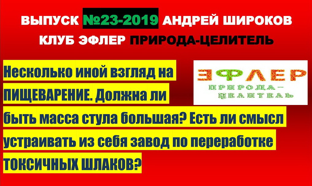 ЧЕМ КАКАЮТ ПРАНОЕДЫ? Нужно ли превращать себя в ЗАВОД по ШЛАКАМ? Иной взгляд на ПИЩЕВАРЕНИЕ.