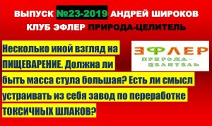ЧЕМ КАКАЮТ ПРАНОЕДЫ? Нужно ли превращать себя в ЗАВОД по ШЛАКАМ? Иной взгляд на ПИЩЕВАРЕНИЕ.