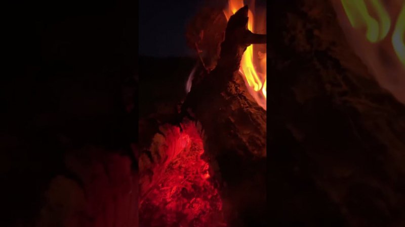 Кемпинг на реке Туре