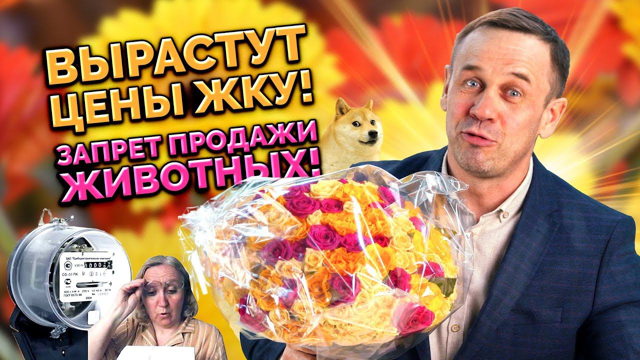 КАК ИЗМЕНИТСЯ ЖИЗНЬ РОССИЯН С МАРТА 23-го ГОДА? | БАНКРОТСТВО | Кузнецов | Аллиам