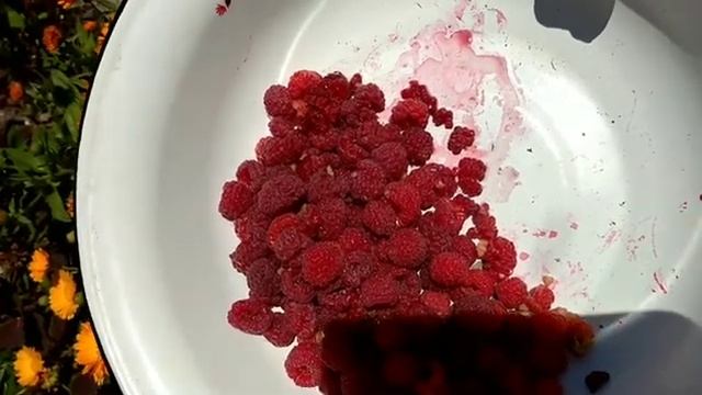 Малину нужно промывать ,перед едой.... смотреть онлайн