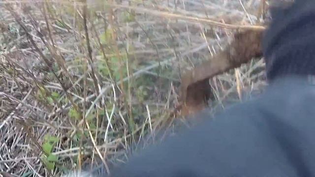 Коп металла.Железо есть!Успевай копай!