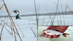 Применяю 5 удочек в рыбалке по плотве в глухозимье, 46 серия сериала