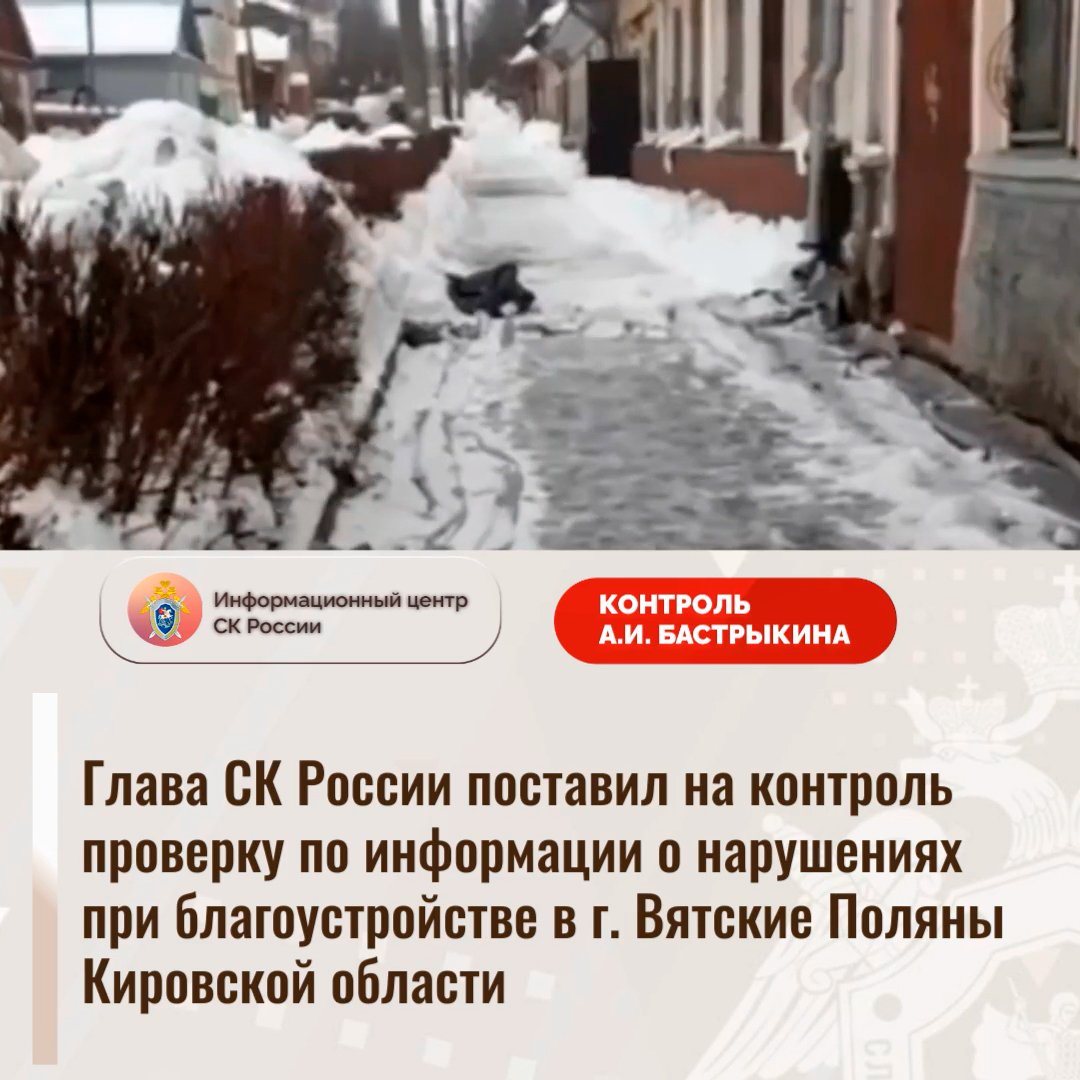 Глава СК России поставил на контроль проверку по информации о нарушениях при благоустройстве в г. Вя