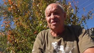 Это не КОЗЫ  Это СНЕЖНЫЕ БАРАНЫ