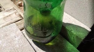 Бюджетная ловушка для мух