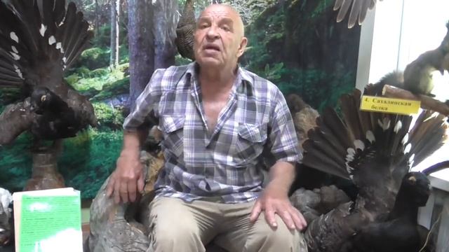 Наросты на деревьях Какие они у нас бывают по размерам и весу смотреть онлайн