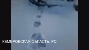 ТОП 3 видео доказательства существования СНЕЖНОГО ЧЕЛОВЕКА