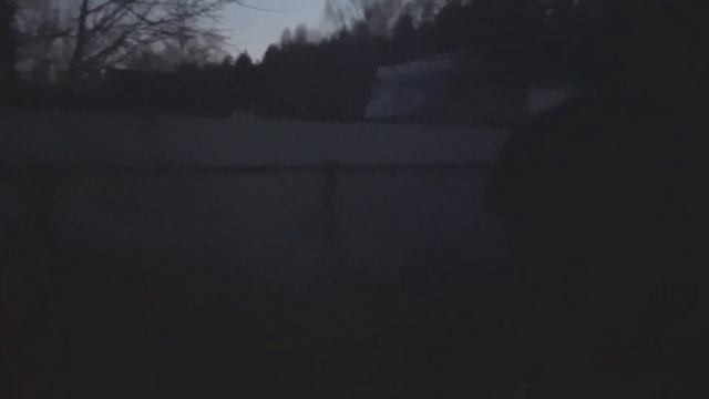 Крокодил