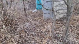 #3 Уборка участка началась, обход и обзор нашей дачи!!!